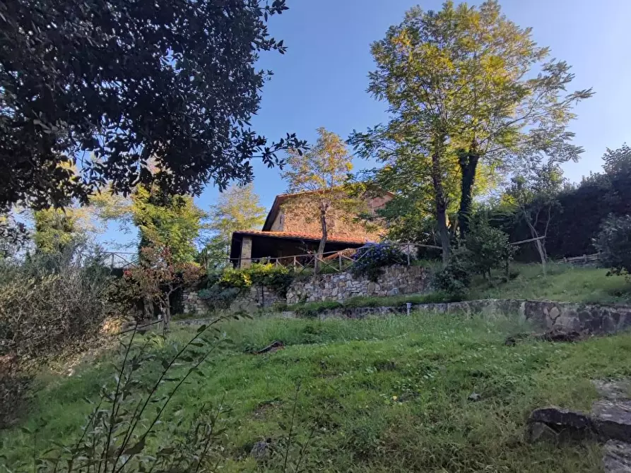 Immagine 26 di Casa colonica in vendita  a Scansano