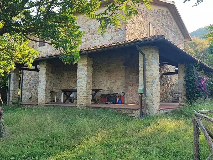 Immagine 34 di Casa colonica in vendita  a Scansano