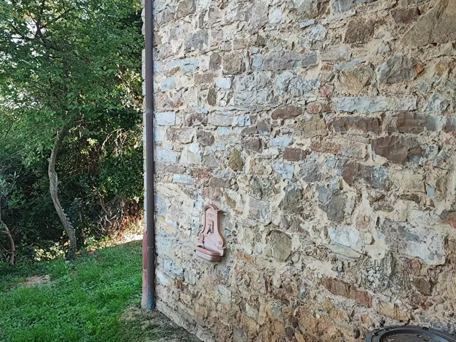 Immagine 8 di Casa colonica in vendita  a Scansano