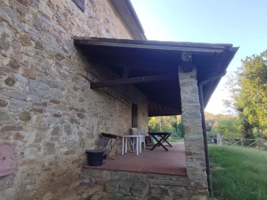 Immagine 36 di Casa colonica in vendita  a Scansano