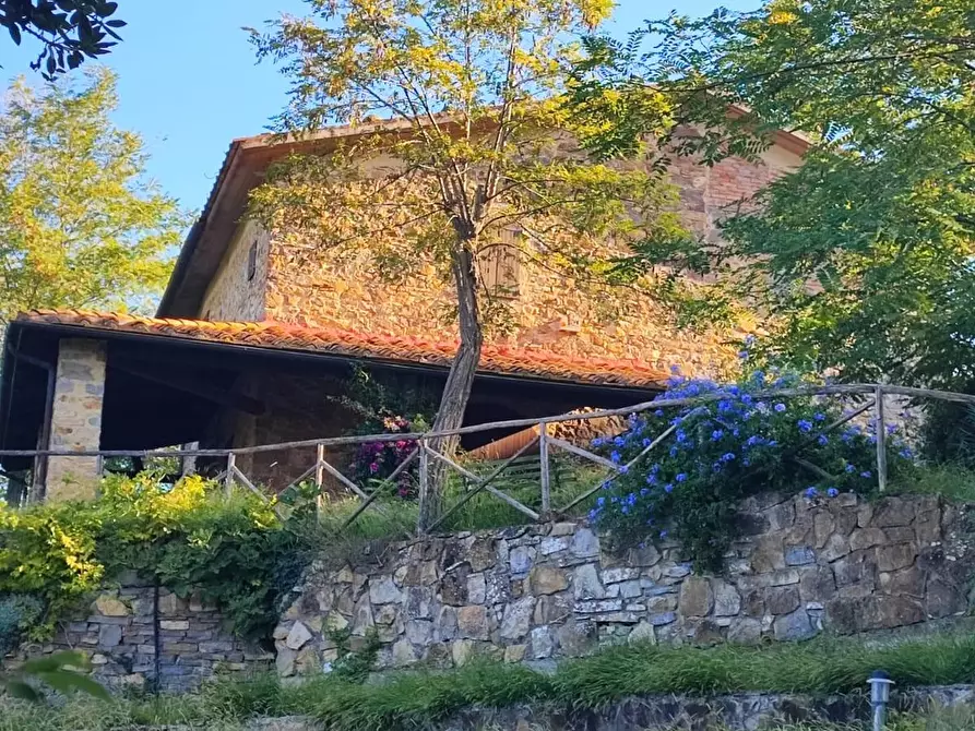 Immagine 1 di Casa colonica in vendita  a Scansano