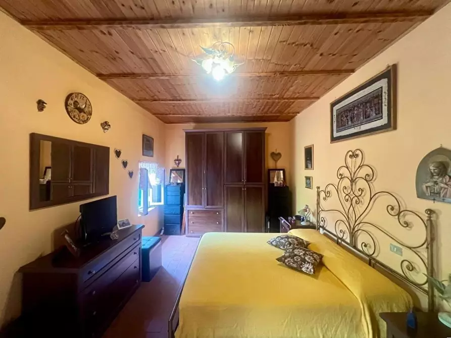 Immagine 11 di Terratetto in vendita  a Crespina Lorenzana