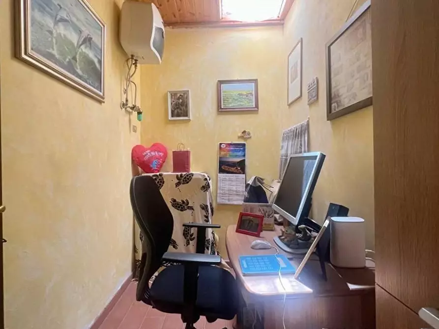 Immagine 16 di Terratetto in vendita  a Crespina Lorenzana