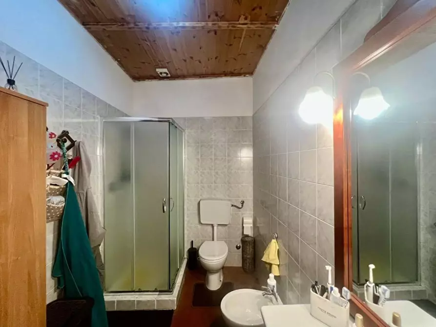 Immagine 15 di Terratetto in vendita  a Crespina Lorenzana