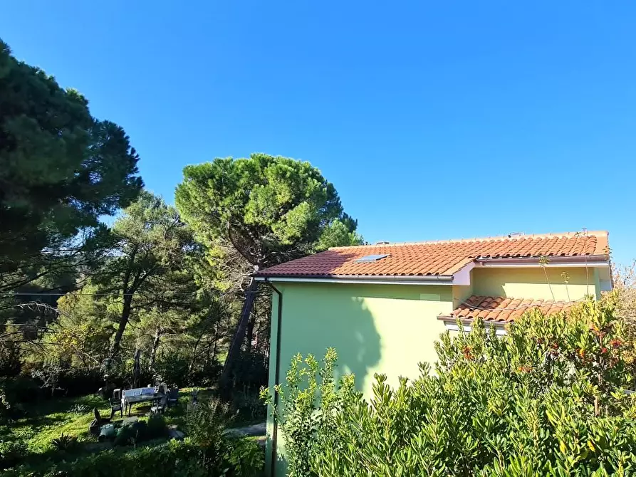 Immagine 2 di Casa indipendente in vendita  a San Miniato