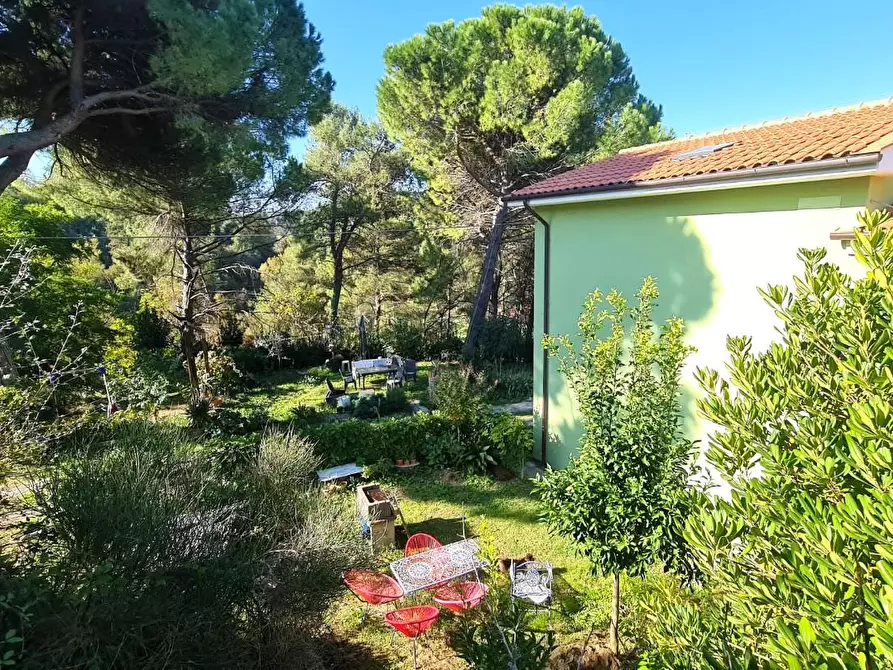 Immagine 3 di Casa indipendente in vendita  a San Miniato