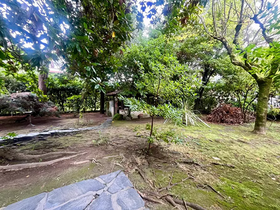 Immagine 3 di Appartamento in vendita  a Massa