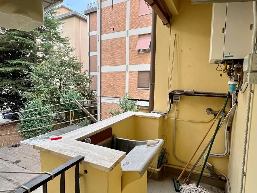 Immagine 9 di Appartamento in affitto  a Pisa