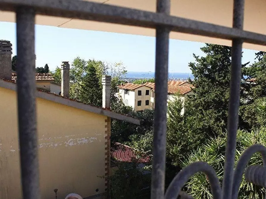 Immagine 28 di Appartamento in vendita  a Rosignano Marittimo