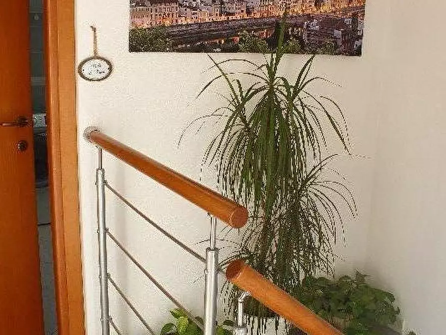 Immagine 14 di Appartamento in vendita  a Rosignano Marittimo