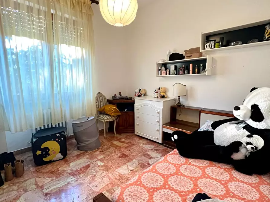 Immagine 21 di Appartamento in vendita  a Pontedera