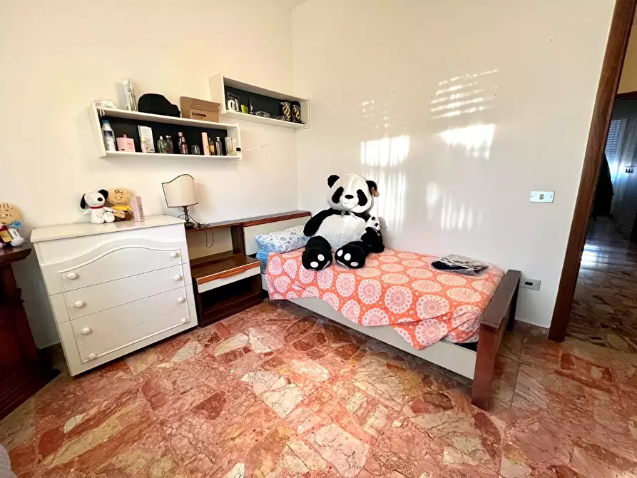 Immagine 23 di Appartamento in vendita  a Pontedera