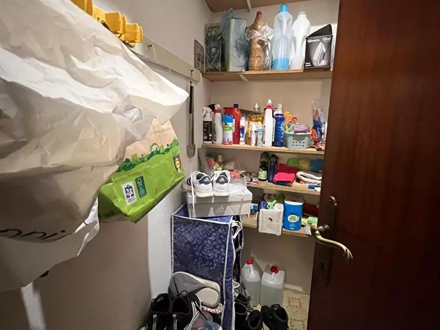 Immagine 11 di Appartamento in vendita  a Pontedera