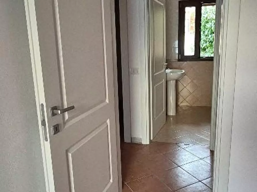 Immagine 17 di Appartamento in vendita  a Calci