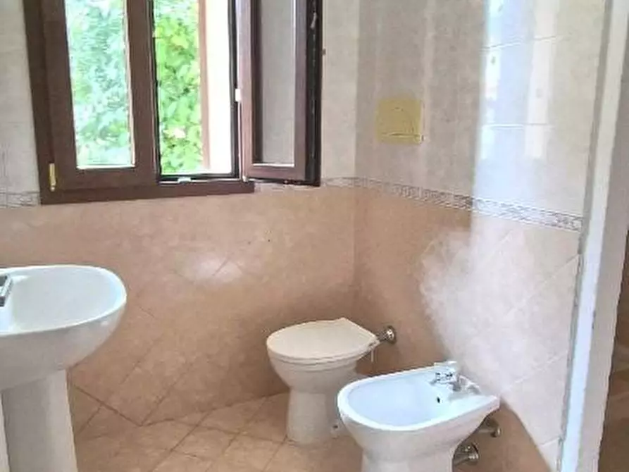 Immagine 13 di Appartamento in vendita  a Calci