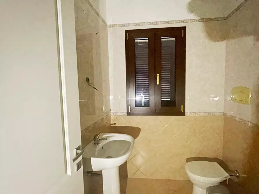 Immagine 16 di Appartamento in vendita  a Calci