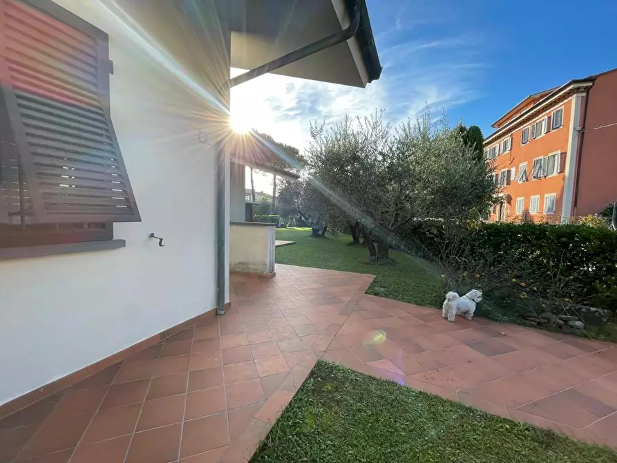 Immagine 27 di Villa in vendita  a Porcari