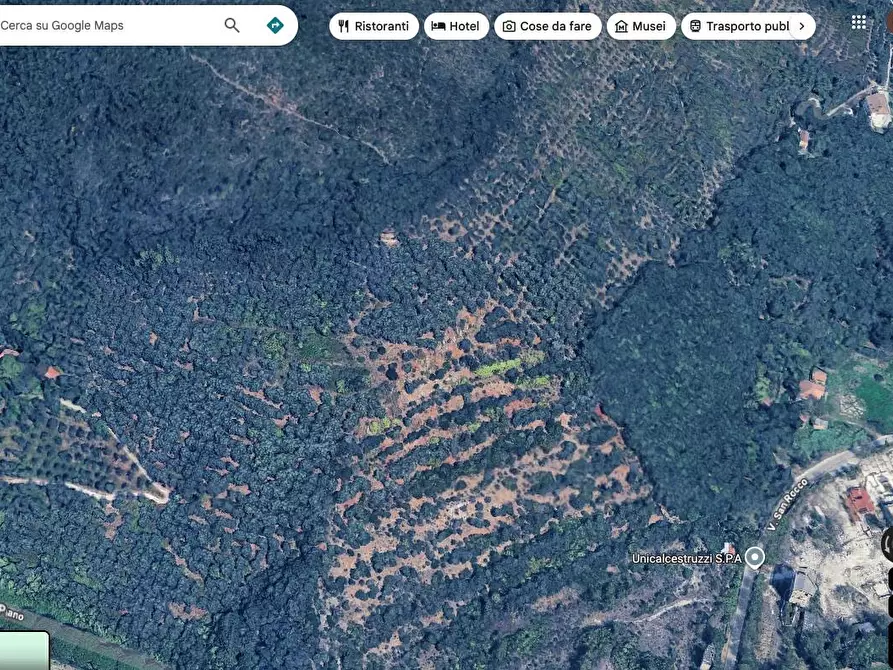 Immagine 3 di Terreno agricolo in vendita  a San Giuliano Terme