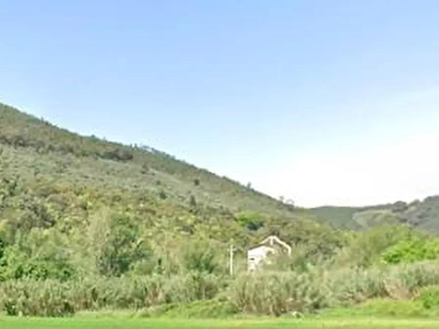 Immagine 2 di Terreno agricolo in vendita  a San Giuliano Terme