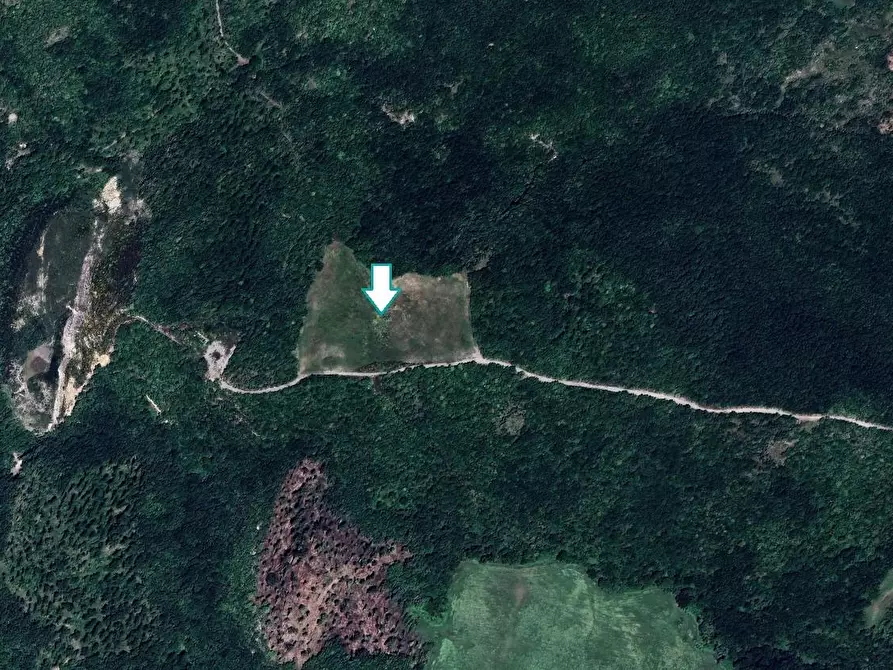 terreno agricolo in vendita a Volterra