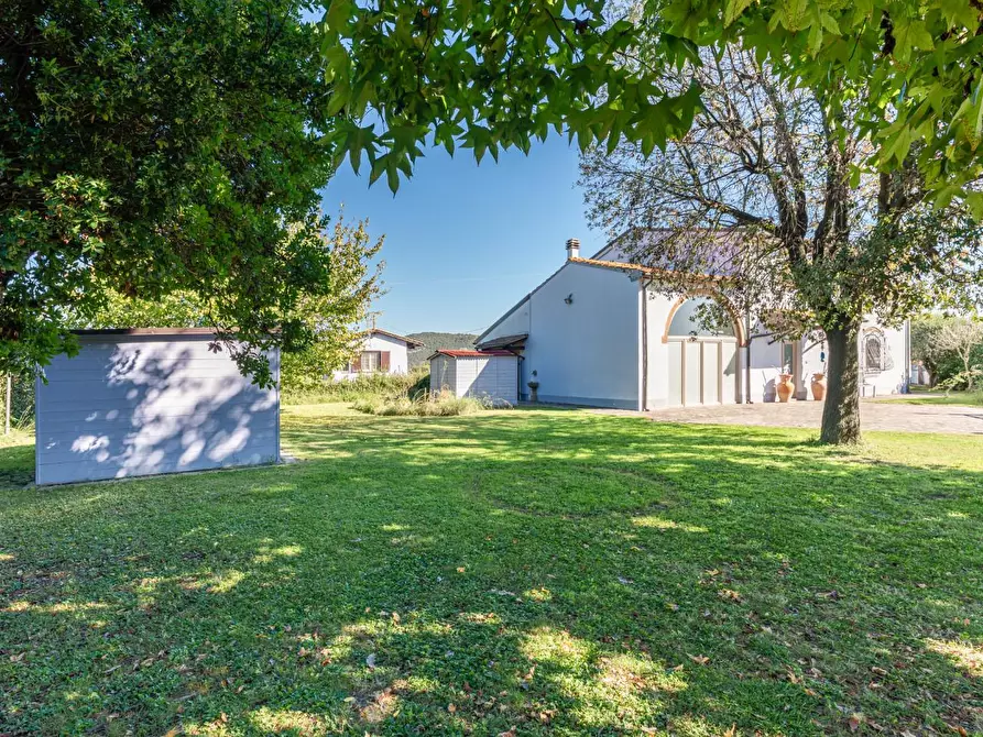 Immagine 2 di Rustico / casale in vendita  a Vecchiano