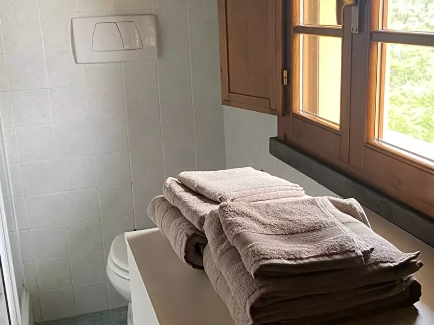 Immagine 11 di Appartamento in affitto  a Capraia E Limite