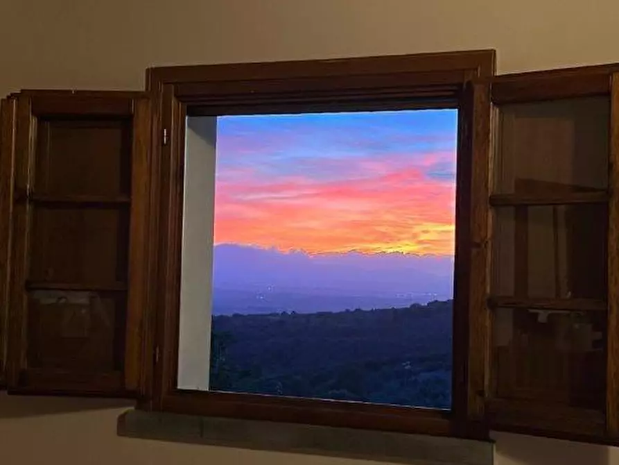 Immagine 3 di Appartamento in affitto  a Capraia E Limite