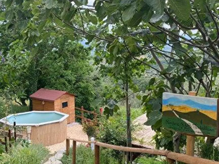 Immagine 15 di Appartamento in affitto  a Capraia E Limite