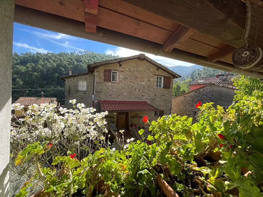 Immagine 7 di Casa semindipendente in vendita  a Capannori