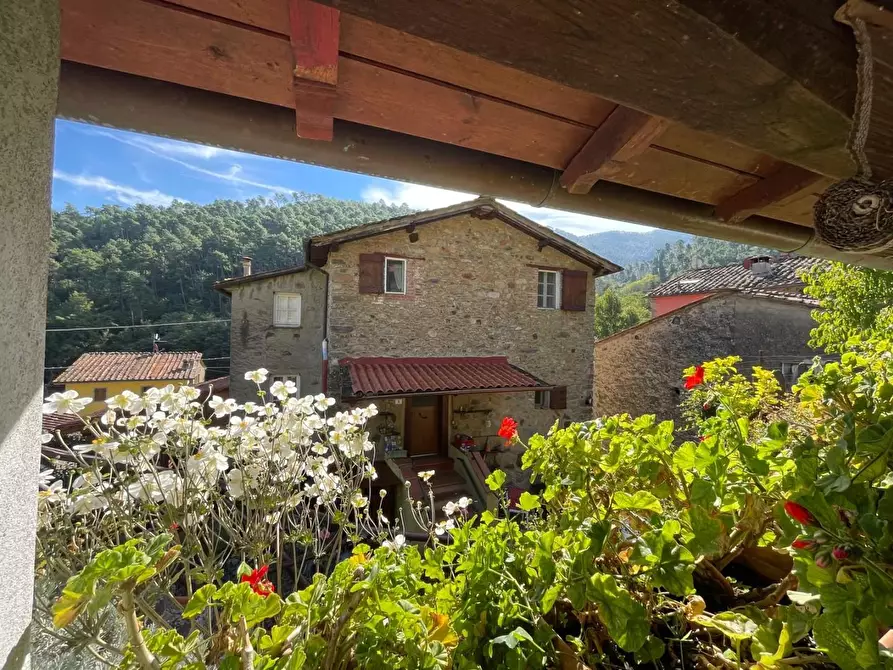 Immagine 1 di Casa semindipendente in vendita  a Capannori