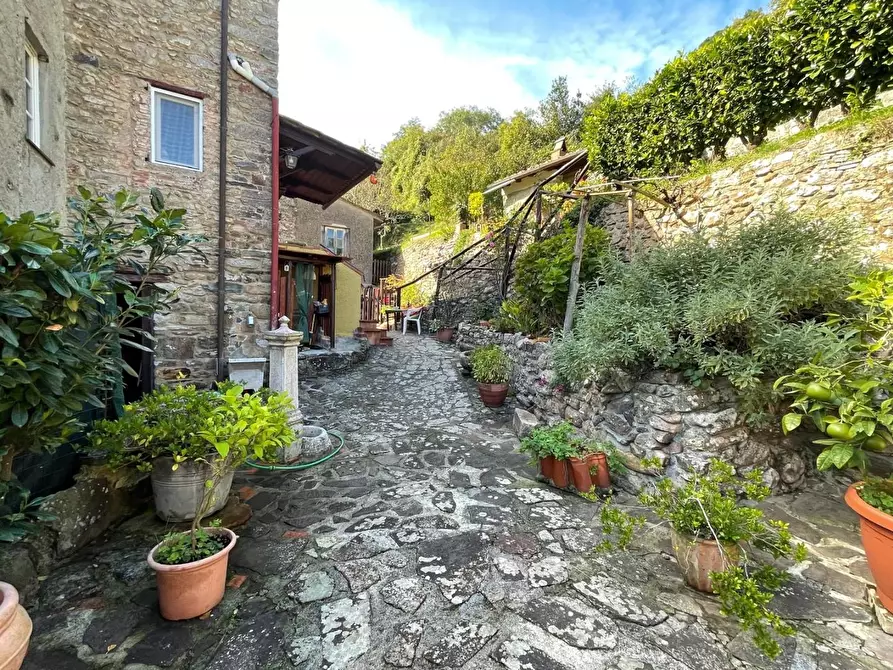 Immagine 46 di Casa semindipendente in vendita  a Capannori