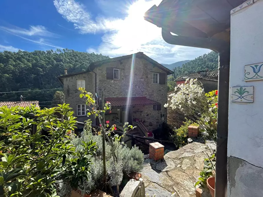 Immagine 19 di Casa semindipendente in vendita  a Capannori