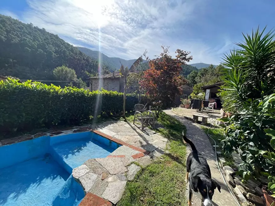 Immagine 22 di Casa semindipendente in vendita  a Capannori