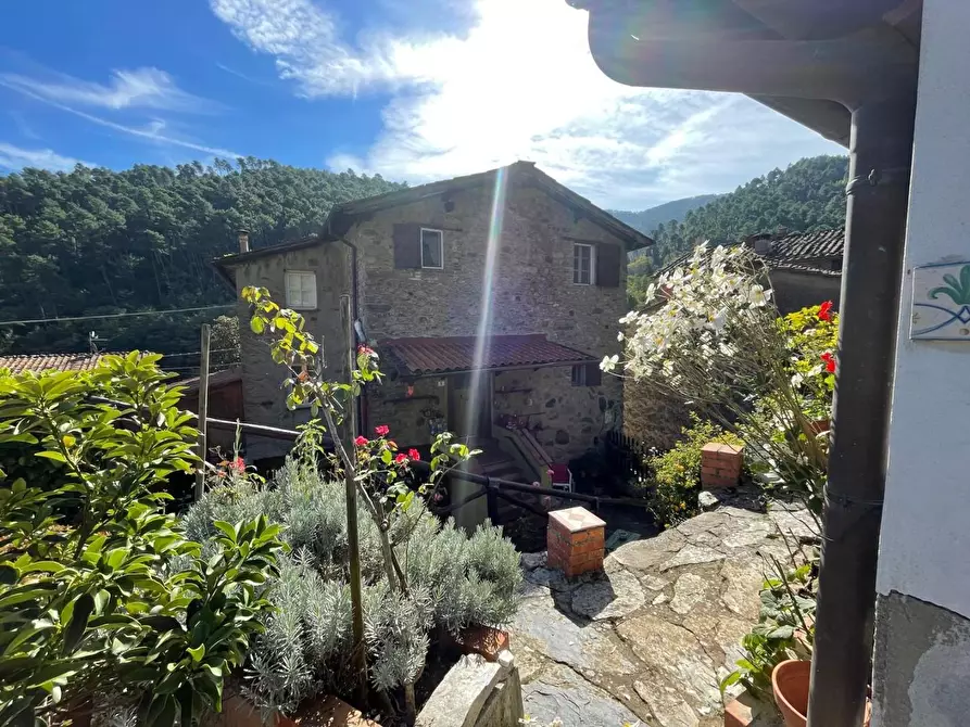 Immagine 9 di Casa semindipendente in vendita  a Capannori