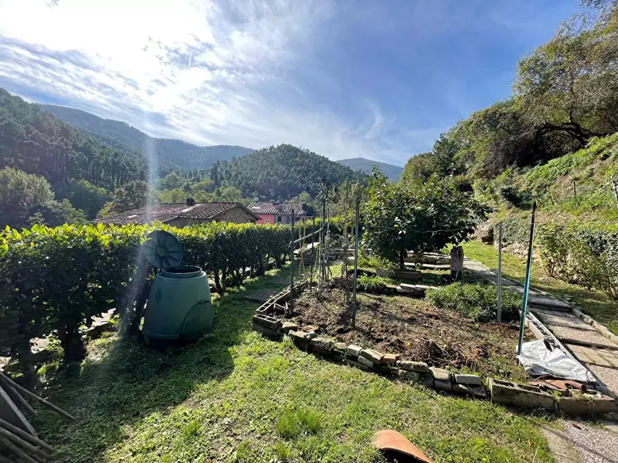 Immagine 5 di Casa semindipendente in vendita  a Capannori