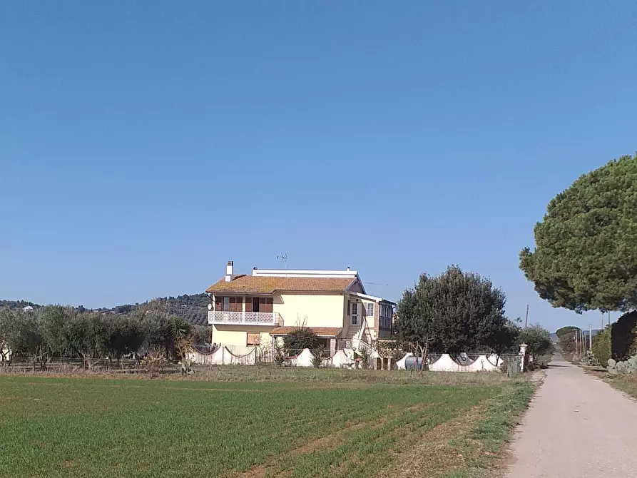 Immagine 3 di Casa indipendente in vendita  a Orbetello