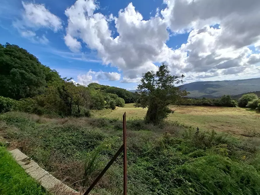 Immagine 17 di Casa colonica in vendita  a Gambassi Terme