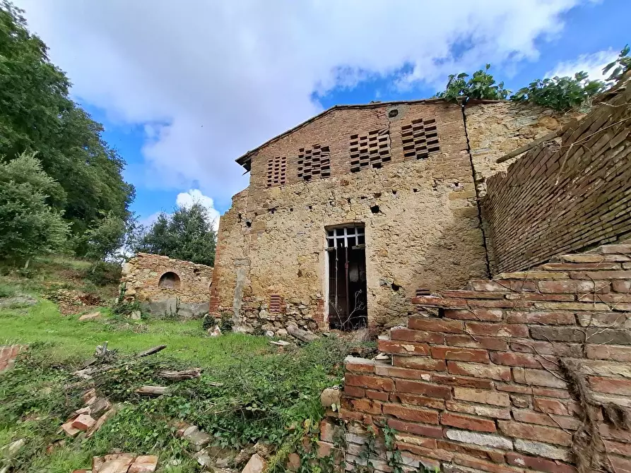 Immagine 15 di Casa colonica in vendita  a Gambassi Terme