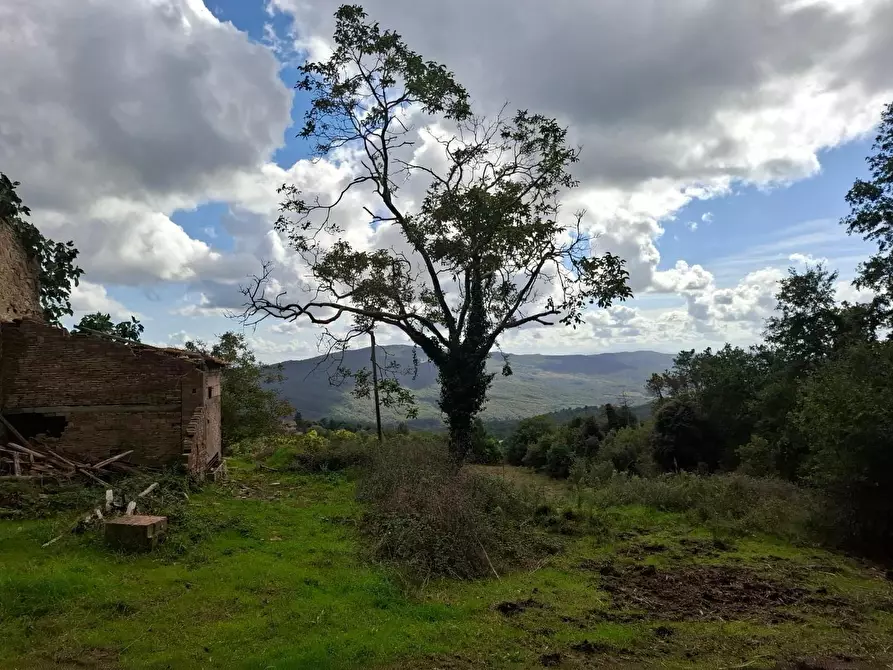 Immagine 18 di Casa colonica in vendita  a Gambassi Terme