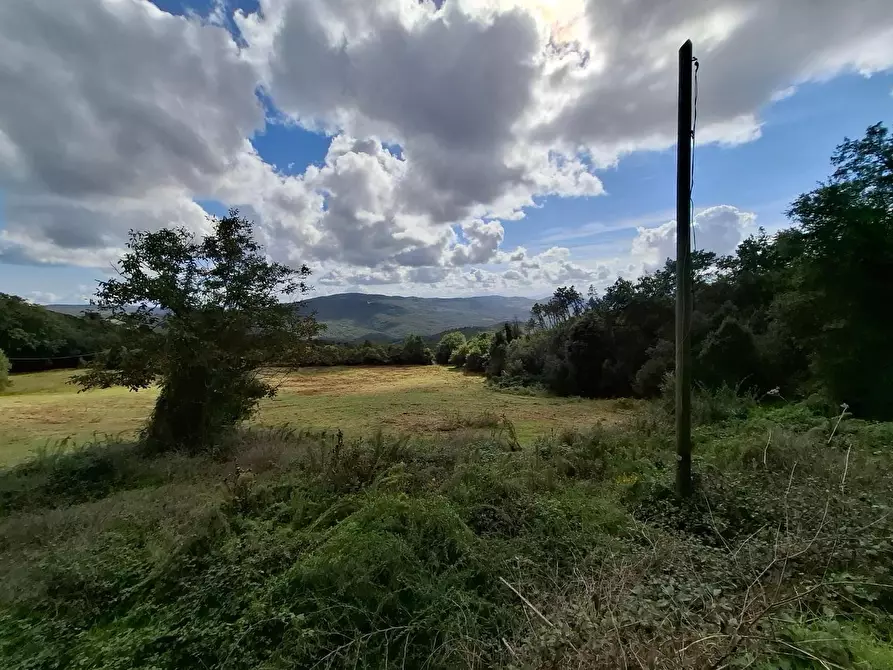 Immagine 16 di Casa colonica in vendita  a Gambassi Terme