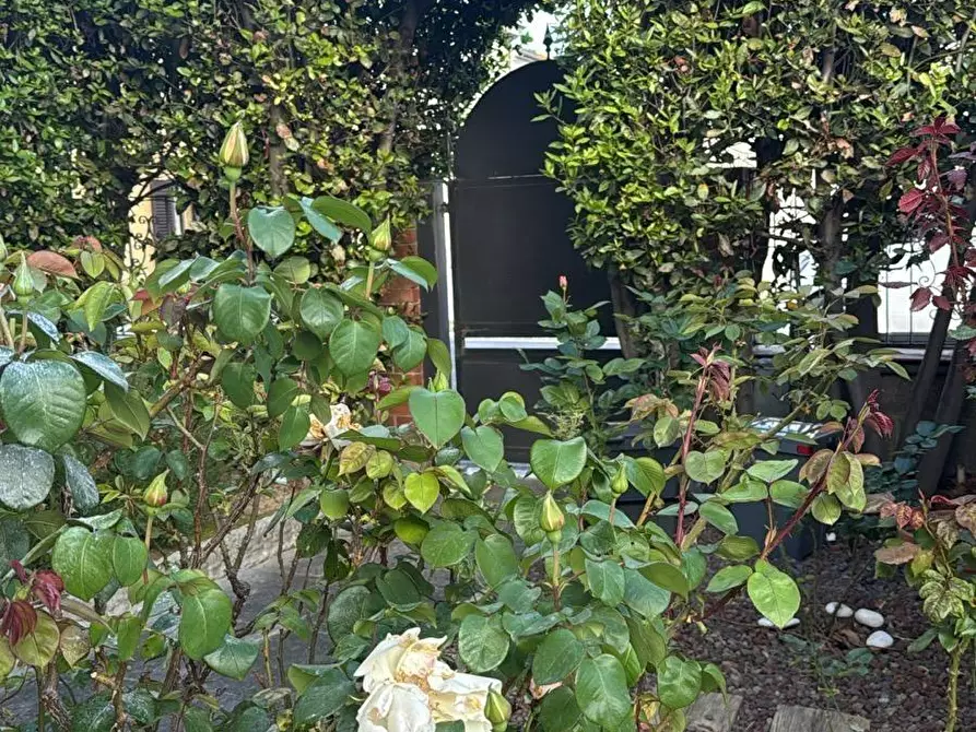 Immagine 23 di Casa indipendente in vendita  a Cascina