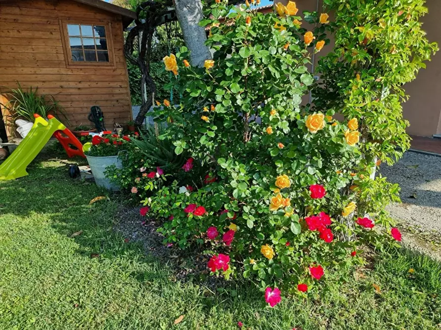 Immagine 22 di Casa indipendente in vendita  a Cascina