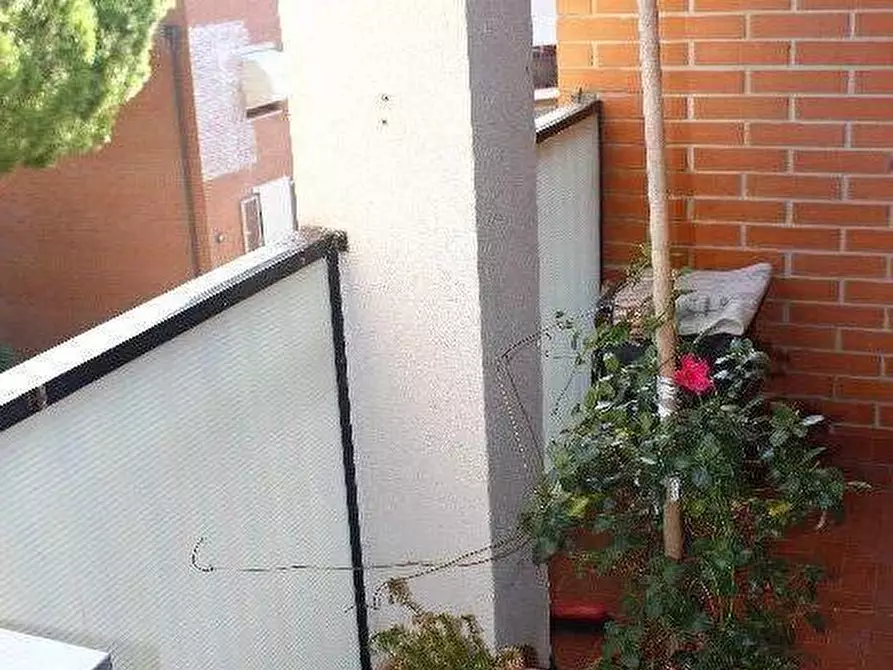 Immagine 7 di Appartamento in vendita  a Rosignano Marittimo