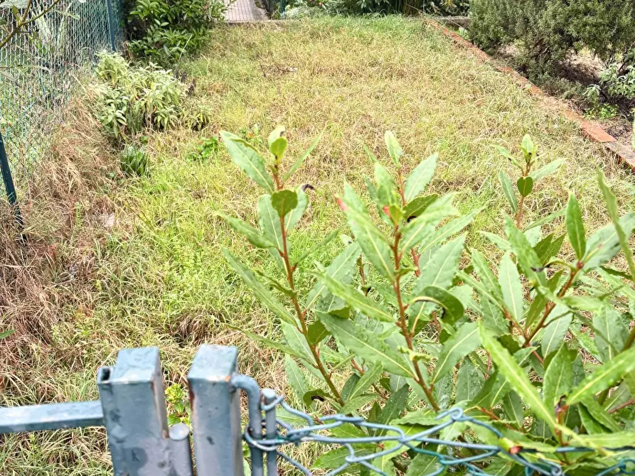 Immagine 26 di Appartamento in vendita  a Vinci