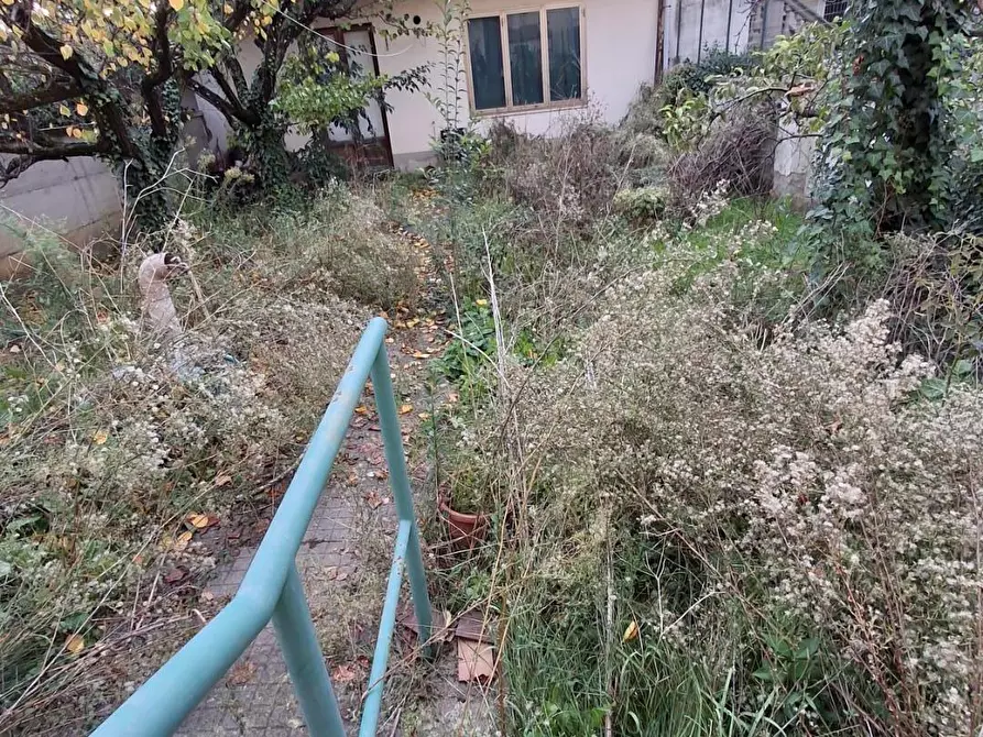 Immagine 7 di Terratetto in vendita  a Empoli