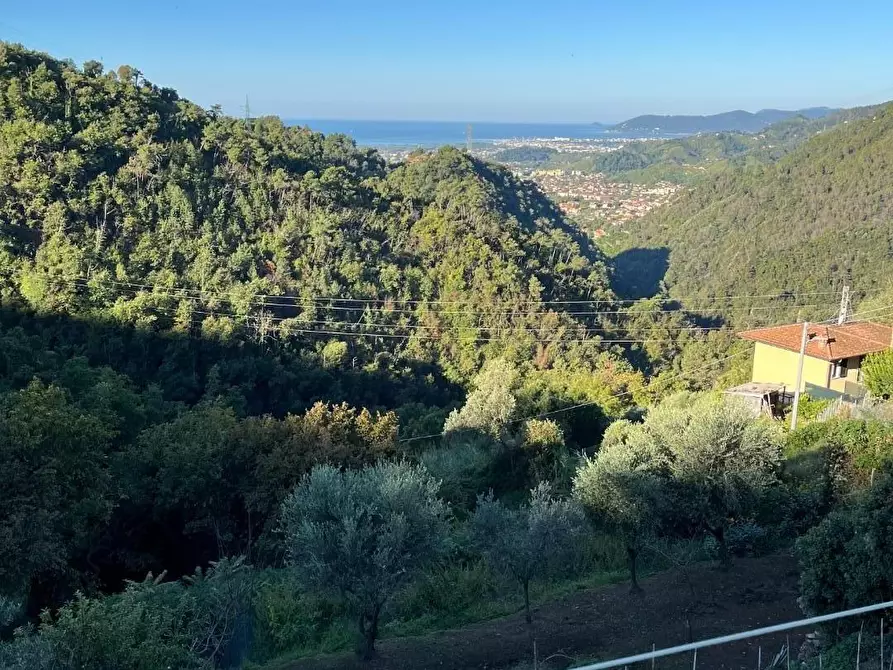 Immagine 1 di Terratetto in vendita  a Massa