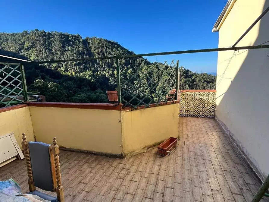 Immagine 18 di Terratetto in vendita  a Massa