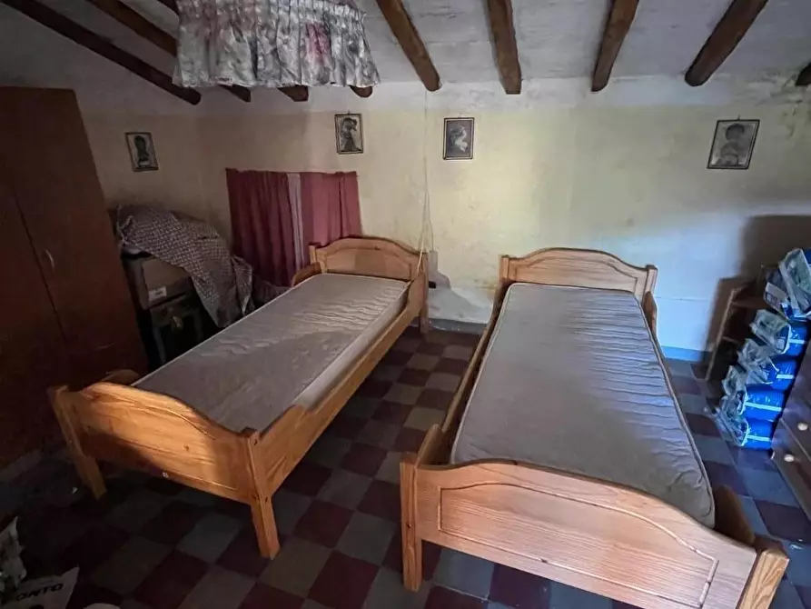 Immagine 21 di Terratetto in vendita  a Massa