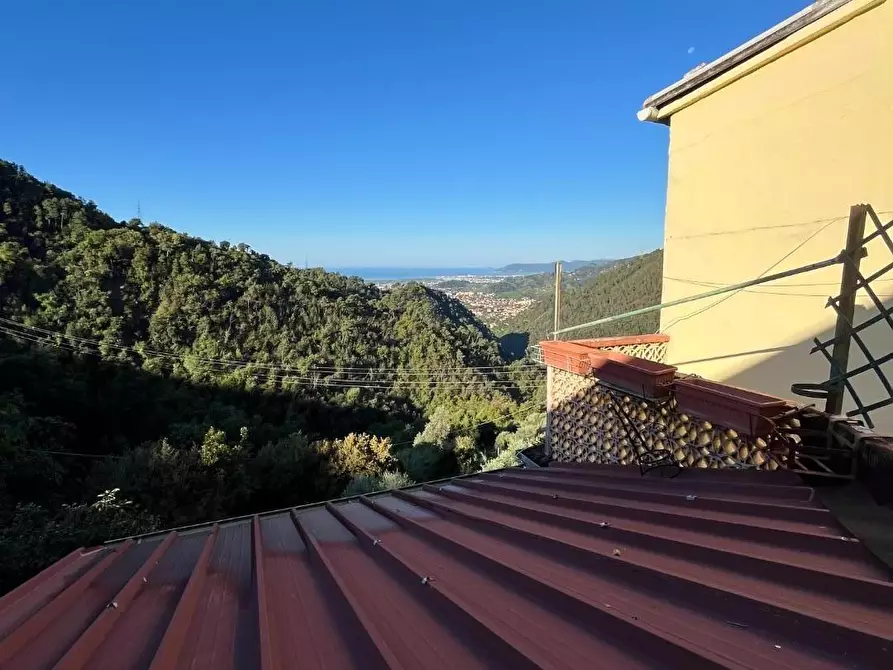 Immagine 23 di Terratetto in vendita  a Massa
