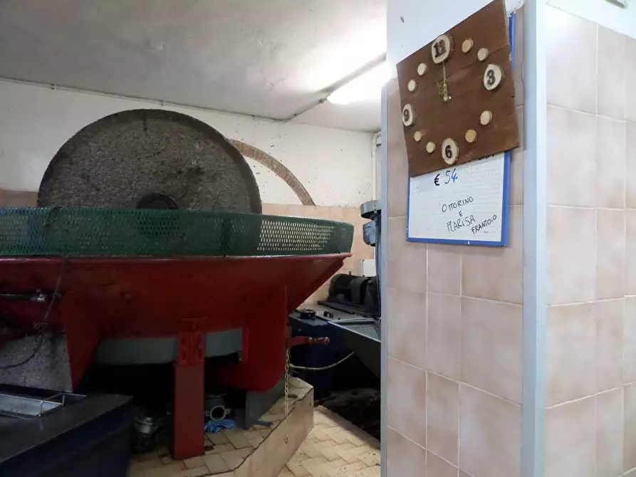 Immagine 16 di Casa indipendente in vendita  a Montopoli In Val D'arno